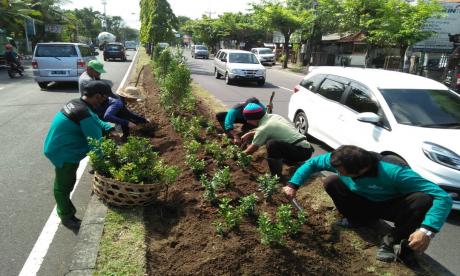 Perawatan Taman Median Jl. By Pass Ngurah Rai