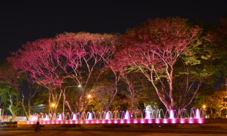 Taman Koridor Gatot Subroto